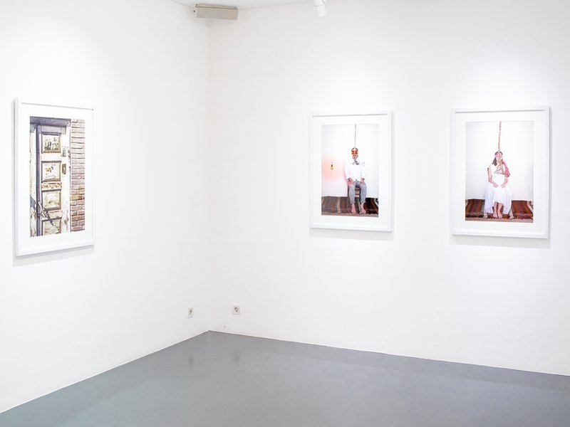 Roots from the Sky, installation view