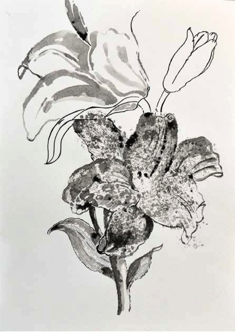 Shirin Karami Mofrad, Untitled, 2024