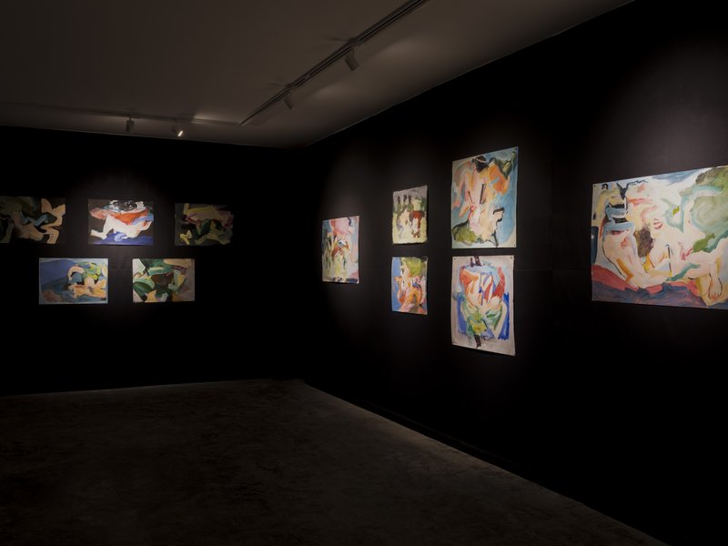 Swan's Death, installation view