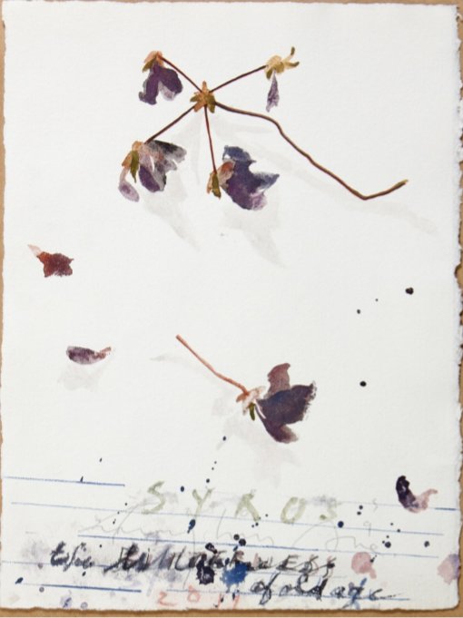 A Season of Work - Online Viewing