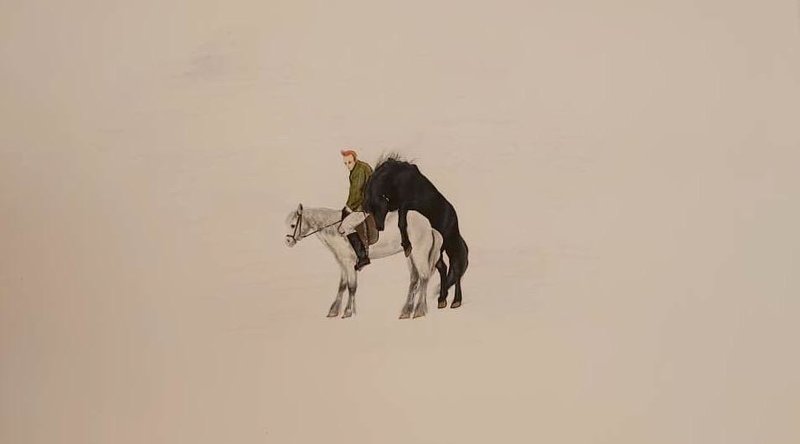 Marjan Saeidi, Horses, 2019
