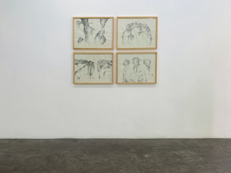 A Remembrance of Fallen Leaves, installation view