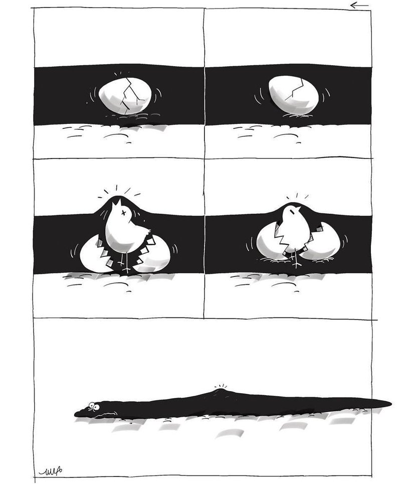 Bozorgmehr Hosseinpour, Untitled, 0