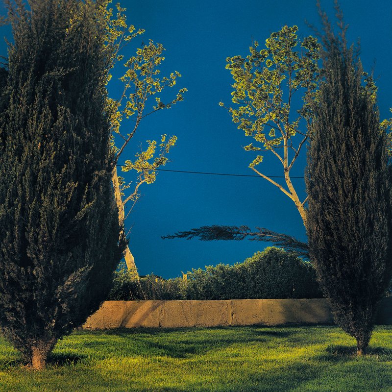 Shahryar Tavakoli, Sarv Park, 2000