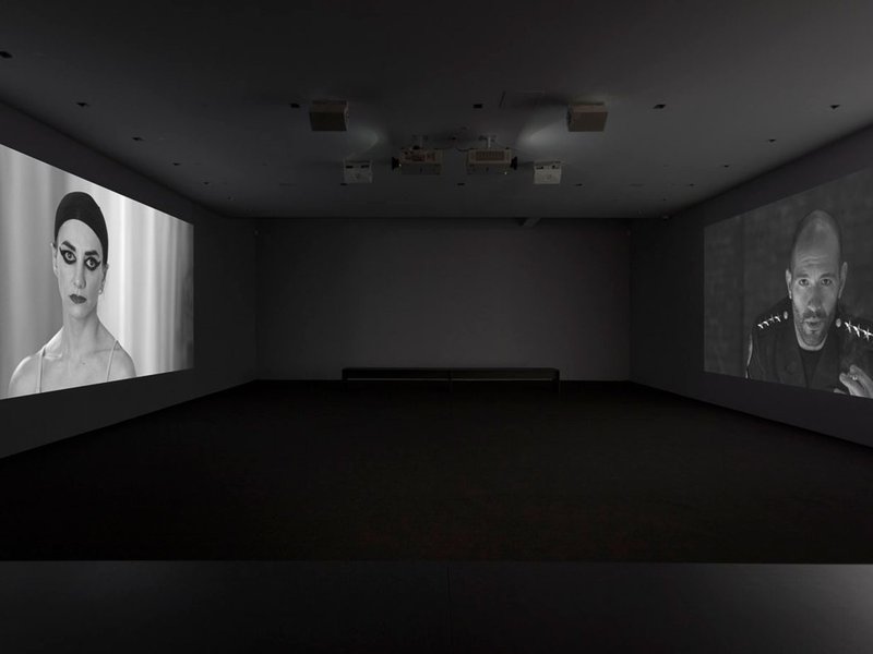 The Fury, installation view