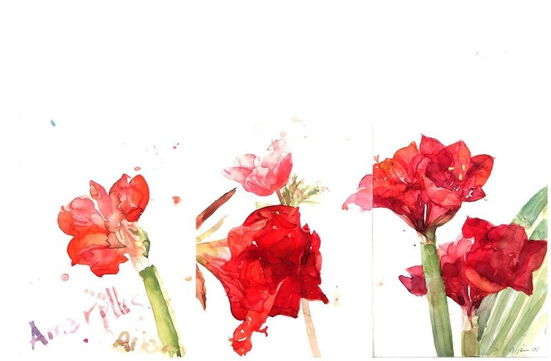 Bijan Saffari, Untitled, 0