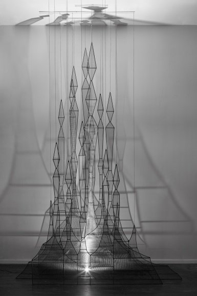 Afruz Amighi, Forest, 2015