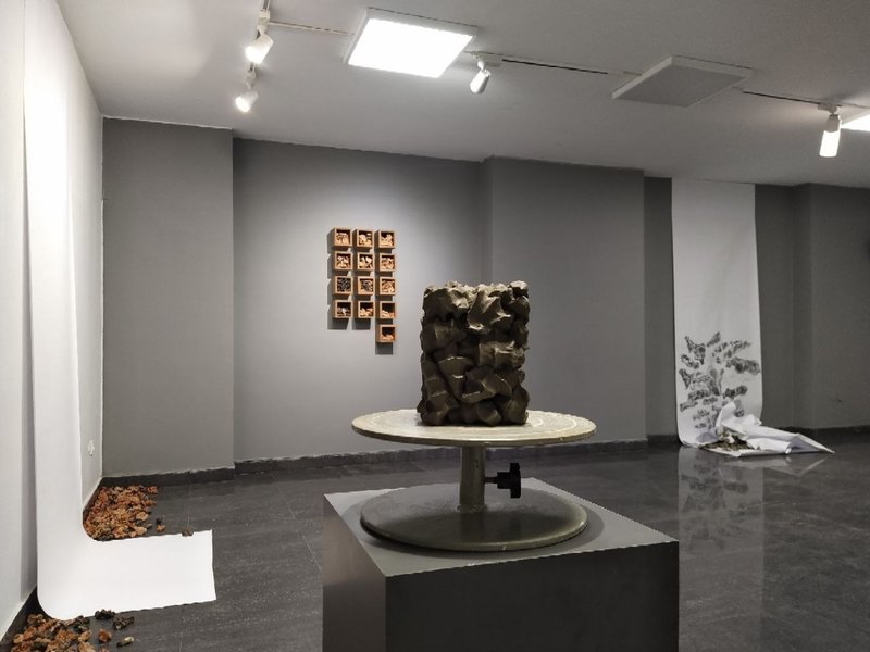 Psycho-Somatic, installation view