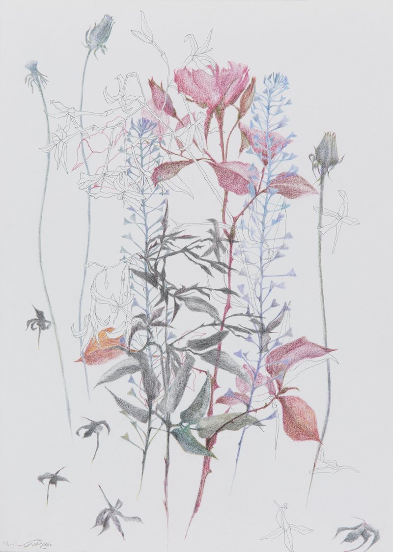 Nazila Moghadam, Untitled, 2021