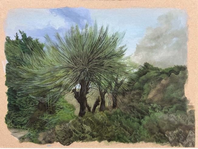 ساجده حسینی، بدون عنوان، 1403