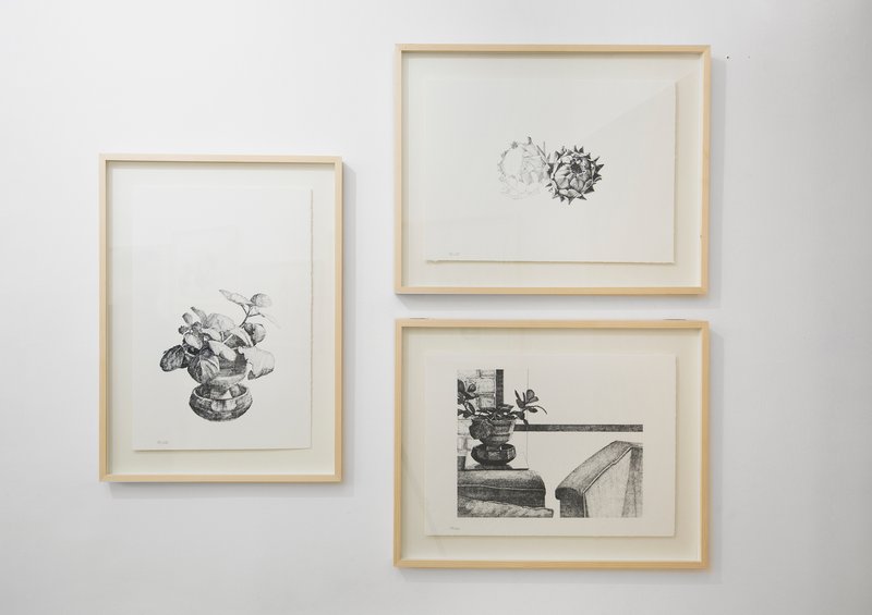 Third Series, installation view