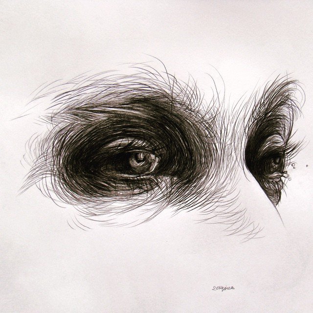 Hooman Mehdizadeh Jafari, Untitled, 2014