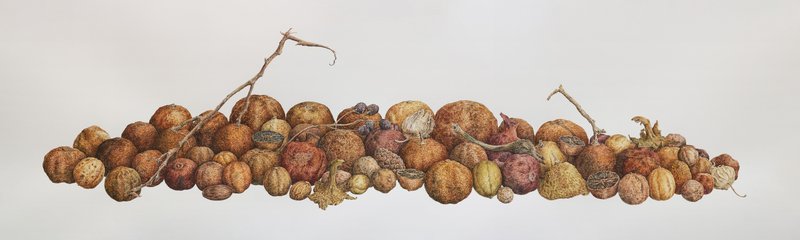 Erfan Rouhina, Untitled, 2025