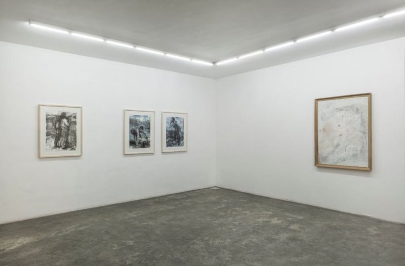 Typology of Lines and the Absence/Presence of Color Amongst Other Things, installation view
