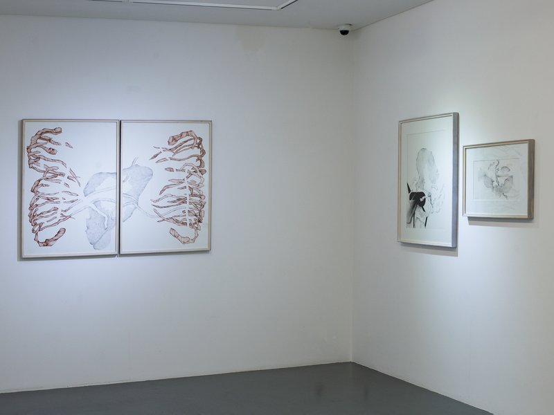 Trim, installation view