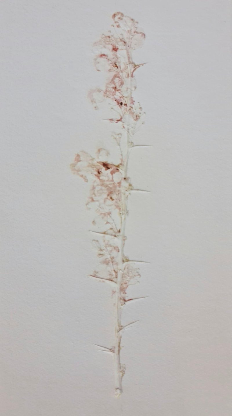 Untitled, 0