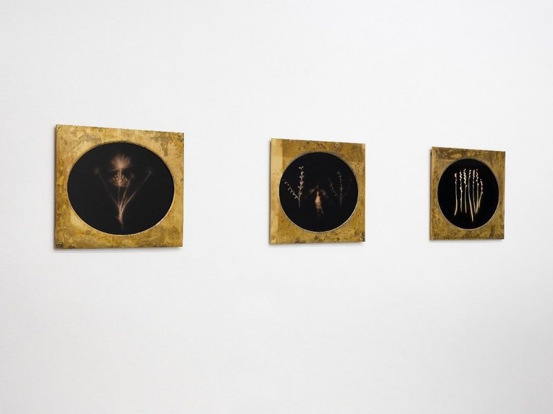 Annotations for Laili, installation view
