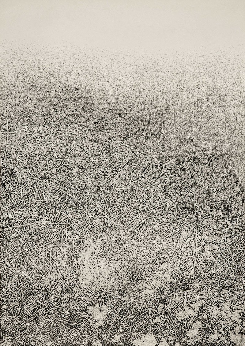 Mahsa Arabzadeh, Untitled, 2021