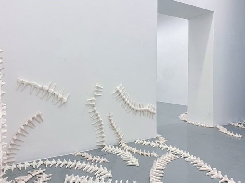 On The Snail’s Circuit, installation view