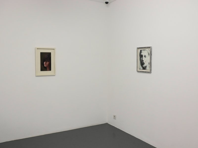 Visage, installation view