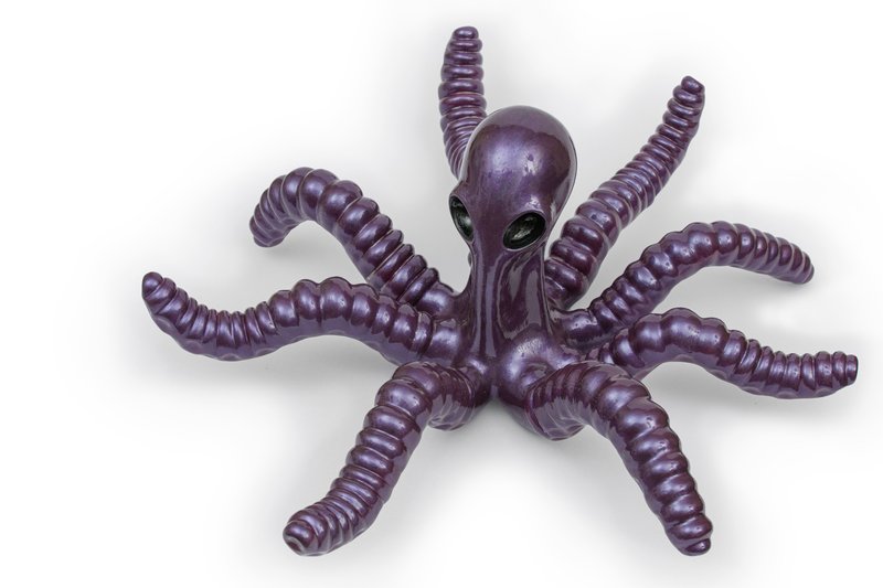 Sam Nikmaram, The Octopus, 2022