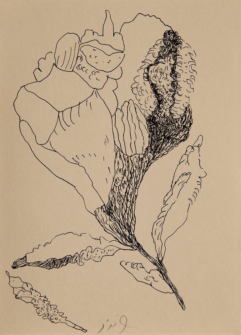 Raana Farnoud, Untitled, 0