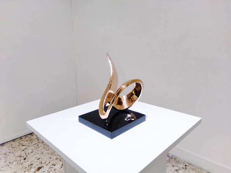 The Animal Illusion, installation view