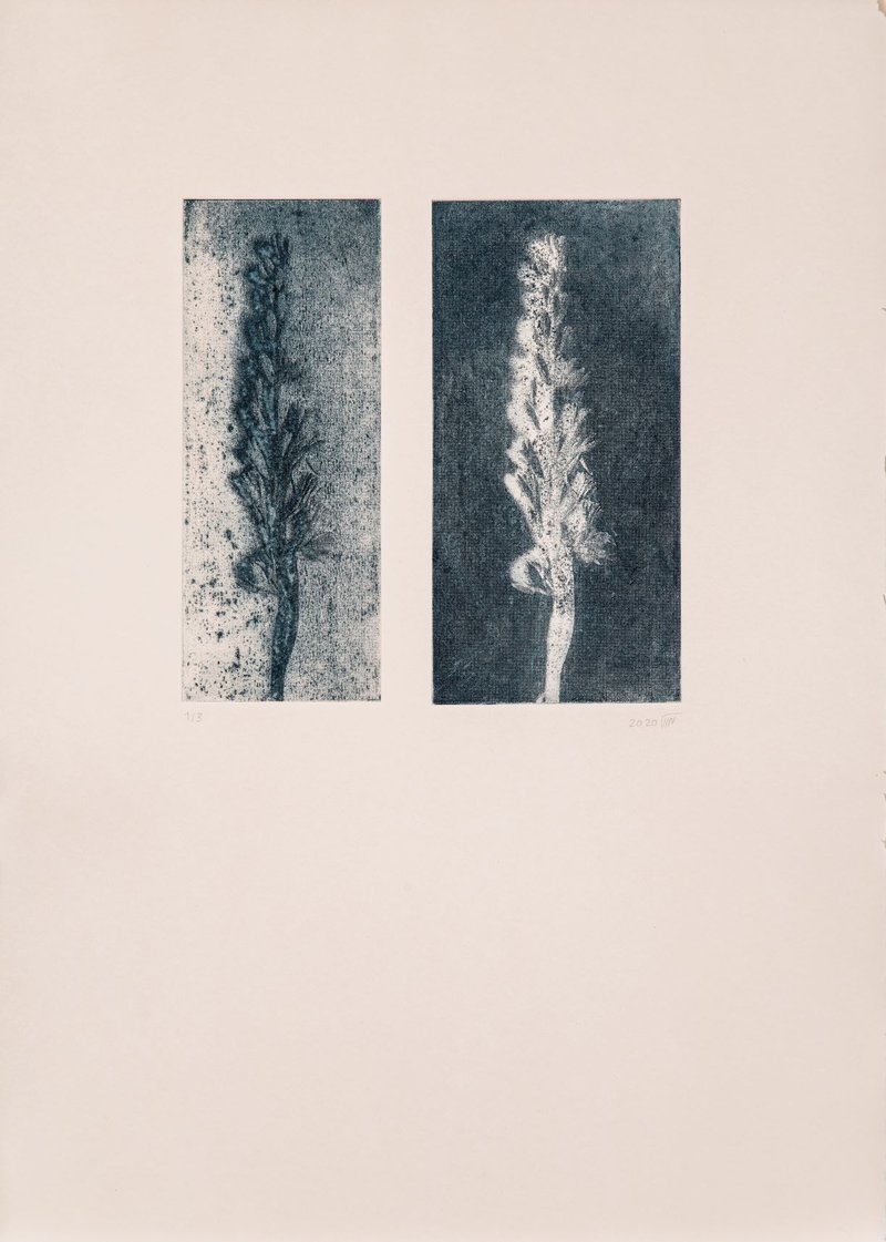Kazhal Fakhri, Untitled, 2020