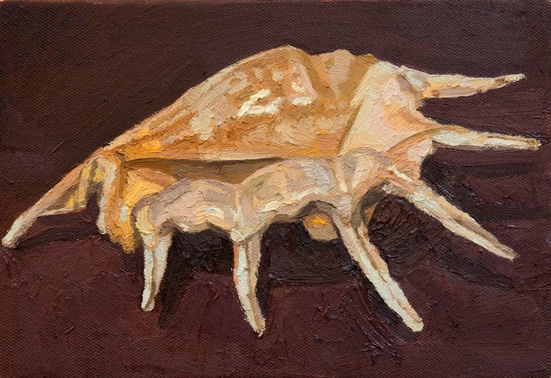 Hosein Shirahmadi, Untitled, 2018