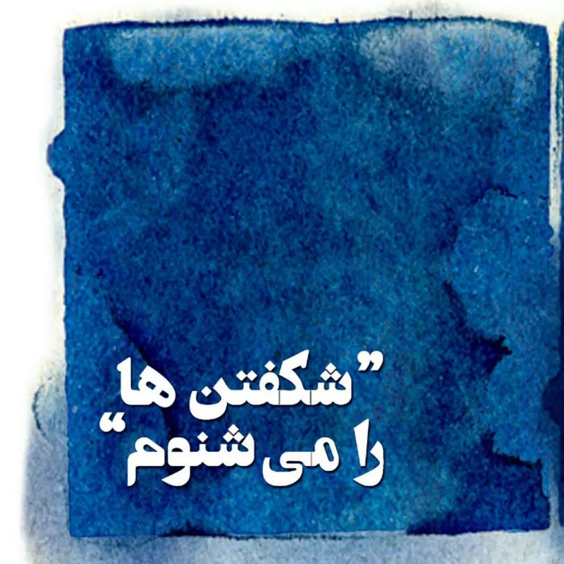 شکفتن‌ها را می‌شنوم