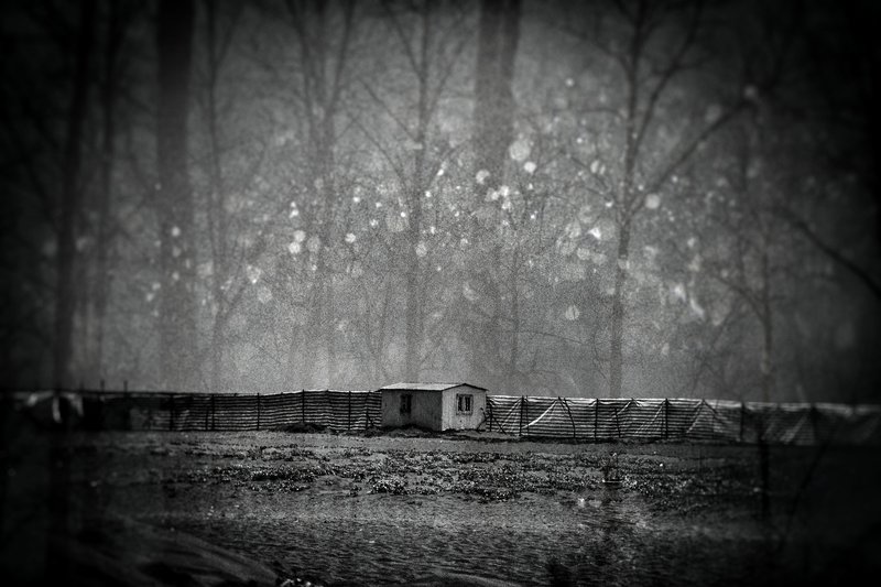 Narges Ranjbar, Untitled, 0