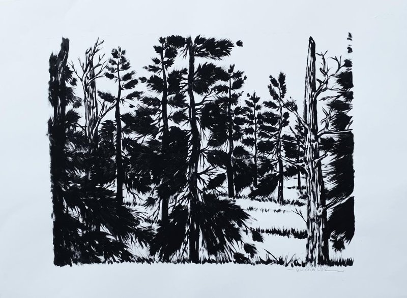 Ali Malek, Untitled, 0