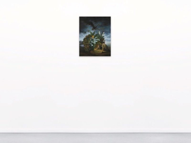 The Cavity of Memory - Online Viewing, installation view