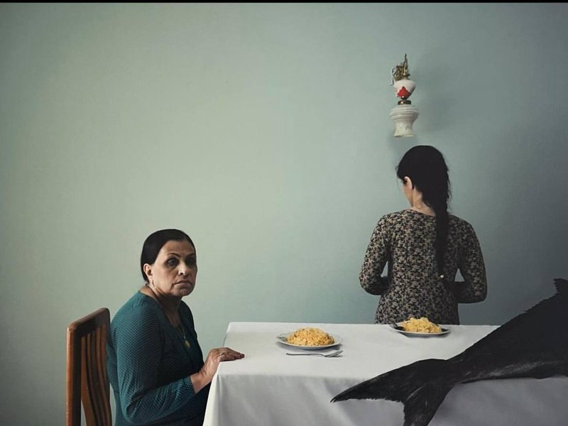 Morteza Niknahad, Untitled, 0
