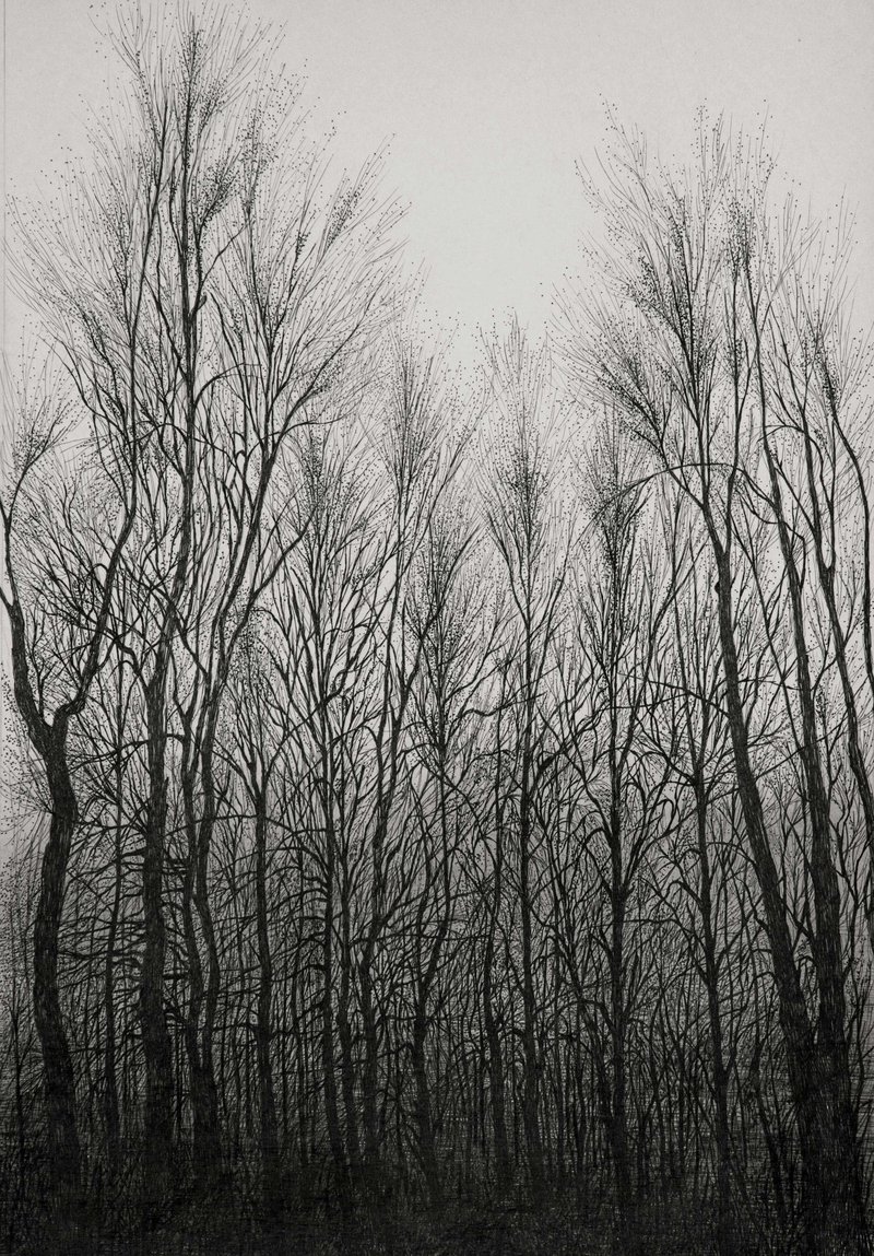 Mahsa Arabzadeh, Untitled, 2021