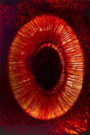 Alireza Masoumi, Untitled, 2012