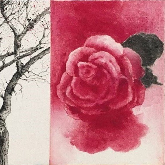 رقص در جایی که رویاها زندگی می‌کنند