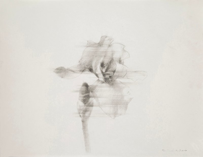 Hamidreza Andarz, Untitled, 2020