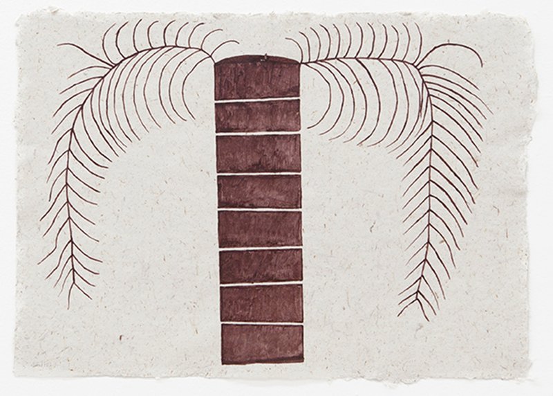 Sheroanawe Hakihiiwe, Palma Shitipa, 2019