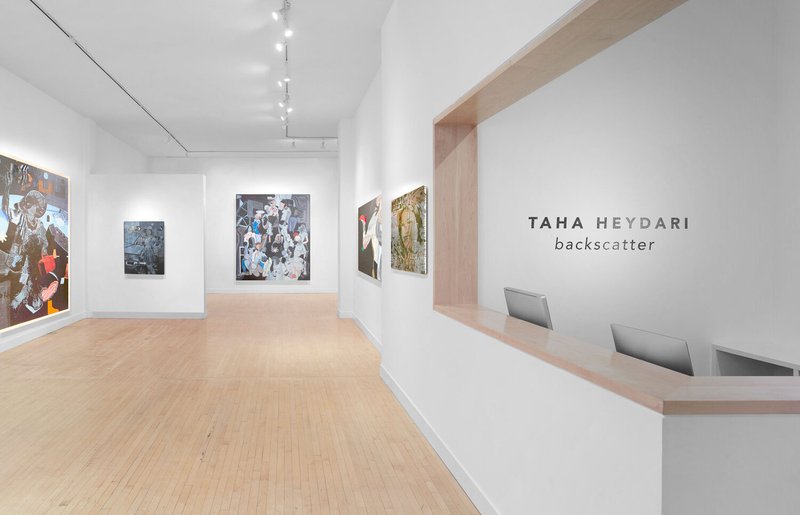 Backscatter - Online Viewing, installation view