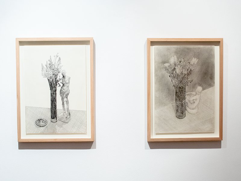 Plants in Continuance, installation view