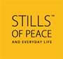 Stills of Peace Projects