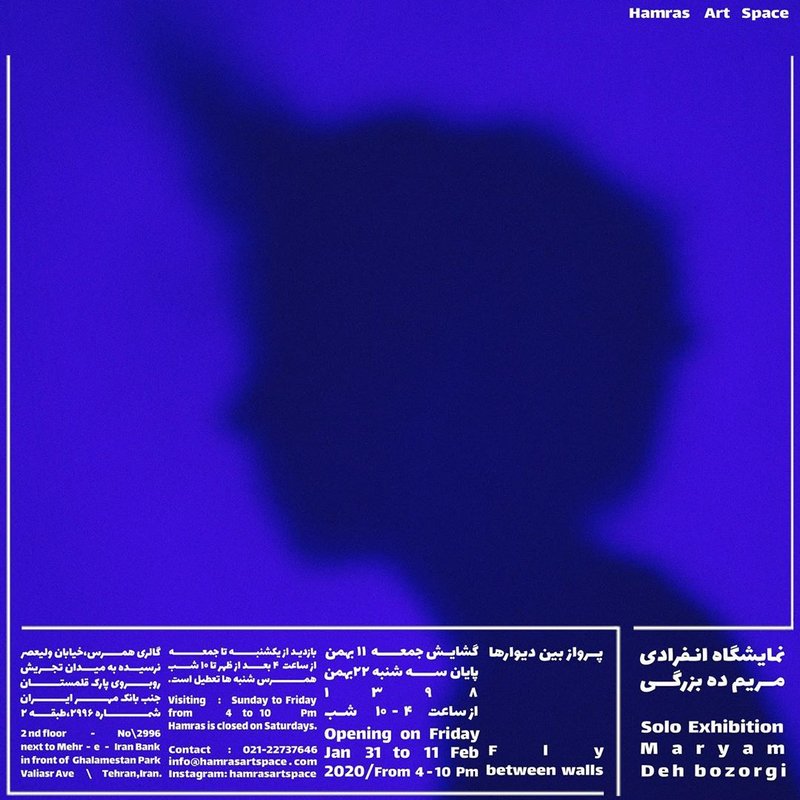 پرواز میان دیوارها