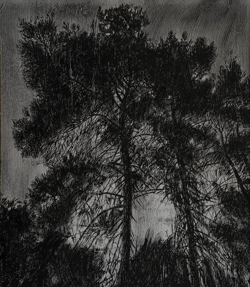 Samaneh Samimi, Untitled, 2021