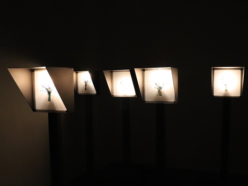 No Past, No Present, No Future, installation view