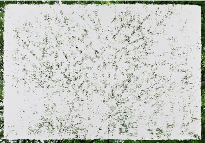 Ghazaleh Hedayat, Untitled, 2023