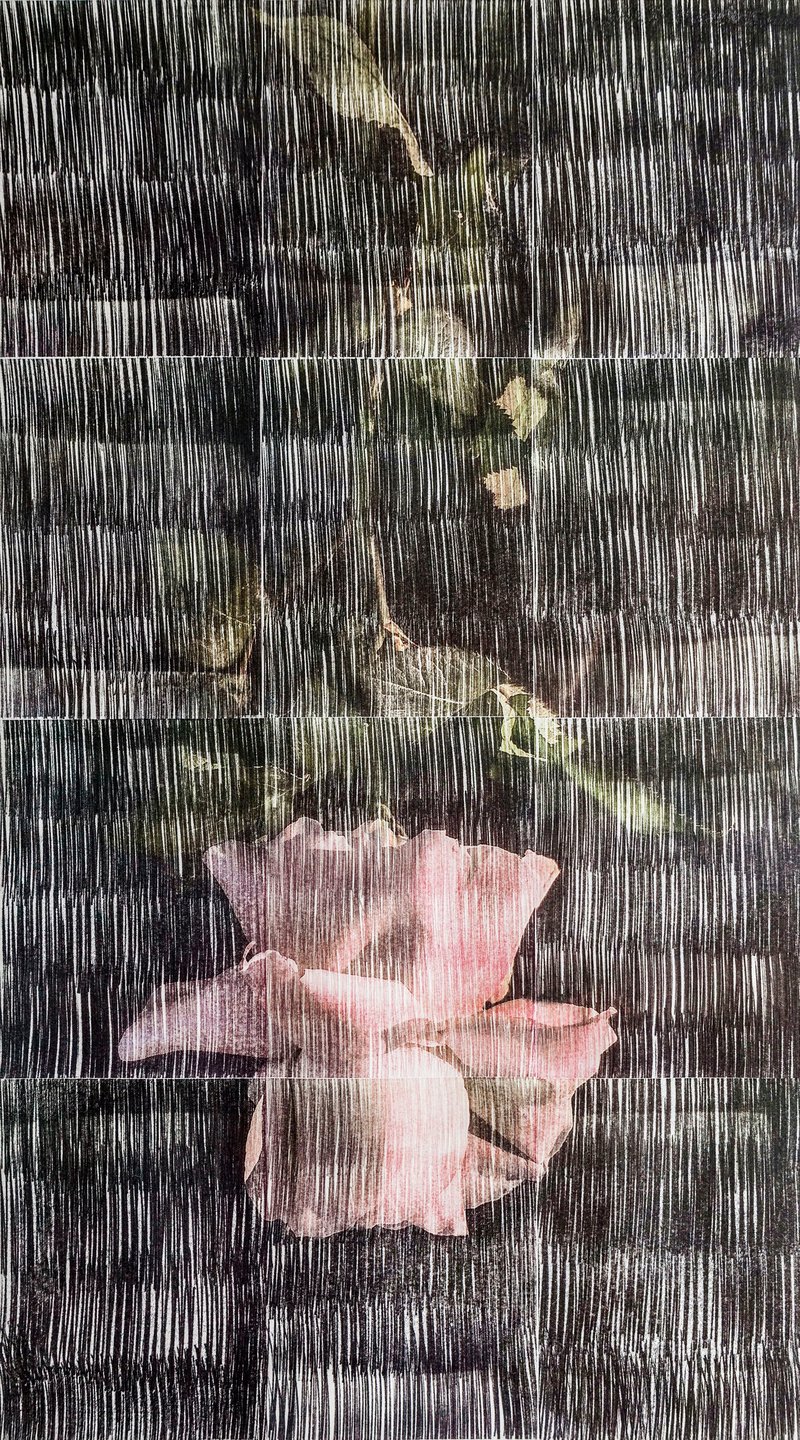 Sasan Abri, Untitled, 2020