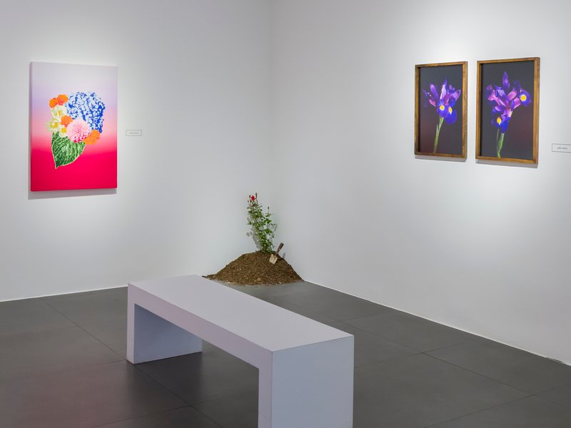 The Poems of Silent Gardeners, installation view