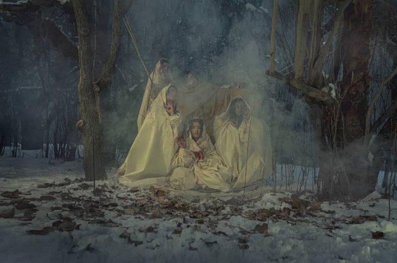 Ali Mojahedi, Untitled, 2023