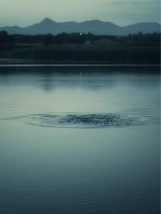 Shahram Ahmadzadeh, Untitled, 2020